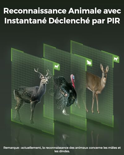 Panneau solaire
