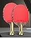 DHS 9 Star 9002/9006 Table Tennis Racket, Professional 5 Wood 2 ALC Offensive Ping Pong Paddle with Hurricane 3 Sticky Rubber (9006-CS-Shorthandle)