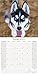 2022 2023 Siberian Husky Calendar - Dog Breed Monthly Wall Calendar - 12 x 24 Open - Thick No-Bleed Paper - Giftable - Academic Teacher's Planner Calendar Organizing & Planning - Made in USA