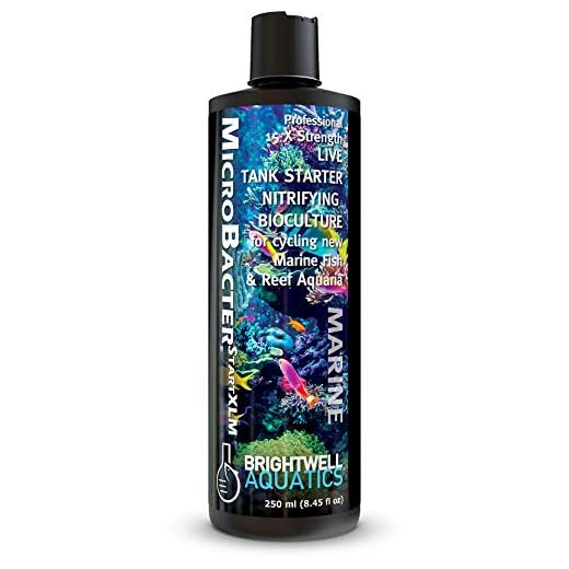 Brightwell Aquatics MicroBacter Start XLM – Live Bacteria Tank Starter Rapidly Establishes Biological Filtration in New Marine & Reef Aquariums