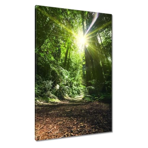 Peinture imprimée sur toile grand format forêt magique déco grand mur