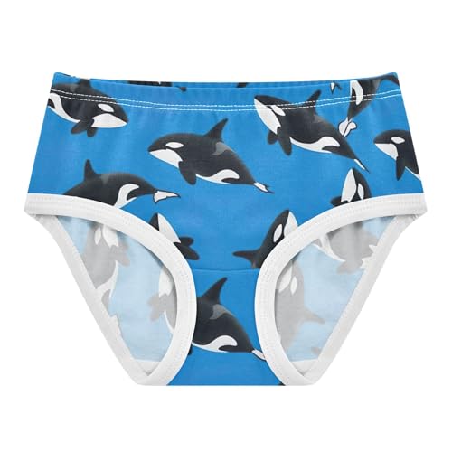 Black White Killer Whales Blue Toddlers Underwear Floral 2t Cotton Panties Little Girl Florals Undies Kids Briefs