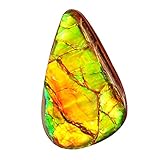 Länge: 42 mm, Breite: 28 mm. Ravishing Impressions Jewellery Seltener Ammolit gelb Feuer Cabochon, grün blau blinkend, Größe 42x28x6mm Anhänger Stein, flache Rückseite, Flashy Ammonit, Anhänger Stein, AG-15140
