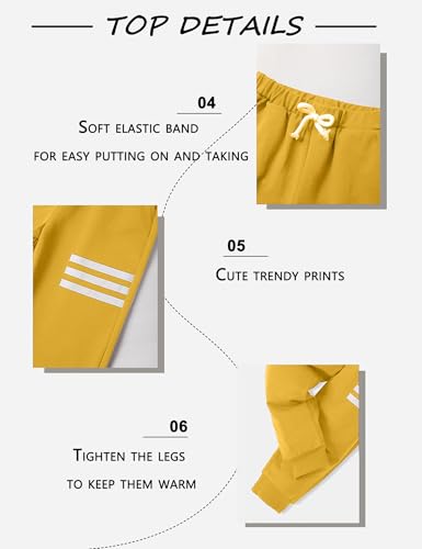 Image of Toddler Boy Clothes Long Sleeve Hoodie Sweatsuits Tops and Pants 2Pcs Boys Fall Winter Outfits Set