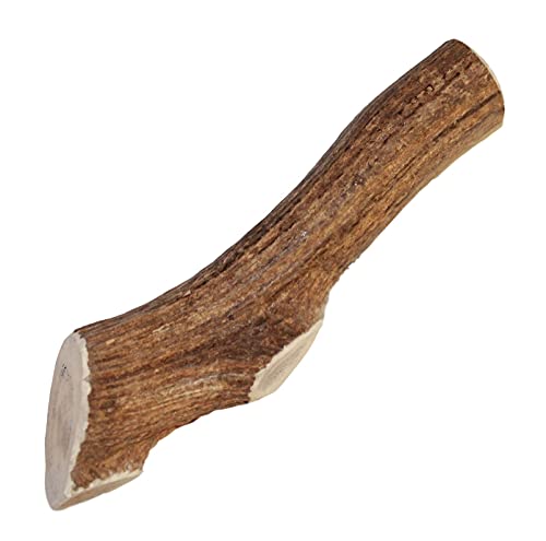 elkhorn premium chews