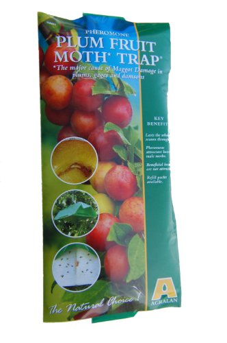 Agralan M651 Piège à Larves de pruniers
