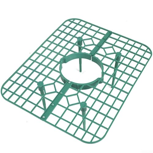 Strawberry Cultivation Tray Rack 10PC Set with Water Management System for Healthy Plant Growth (Green)