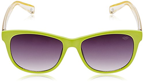 Image of Lee Cooper Round Sunglasses (Yellow) (LC9068FOBLEMON|52)