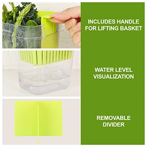 3 Pack Fresh Herb Keeper for Refrigerator, Clear BPA-Free Herb Saver, Storage Container for Cilantro, Parsley, Thyme, Mint & Asparagus, Preserver Keeps Fresh Herbs, Green & Blue & Orange