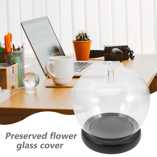 Cúpulas de vidrio MAGICLULU que protegen del polvo tus flores preservadas 8