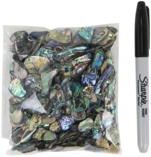 Abalone (Pāua) Shell Pieces for Crafts, Jewelry Making, Resin Art, Inlay, Home Decorations, Fishtank Supplies, DIY Projects - Satin, Small Size .60"- .98" (15-25 mm) 2.65oz (75grams)