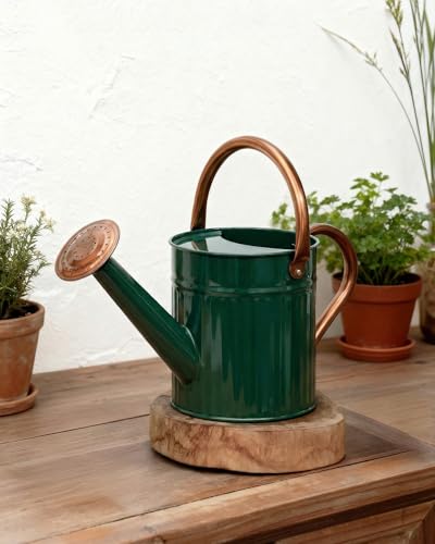 Bamworld Watering Can for Indoor Outdoor Plant Metal Watering Can...