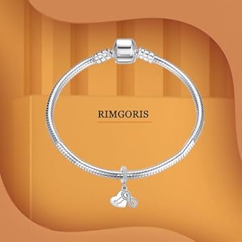 Rimgoris 925 sterling zilveren bedel voor damesarmbanden LIEFDE Valentijnsdag Eeuwige liefde clip veiligheid ketting bengelen bedels geschenken, Zirkonia, Zirkonia