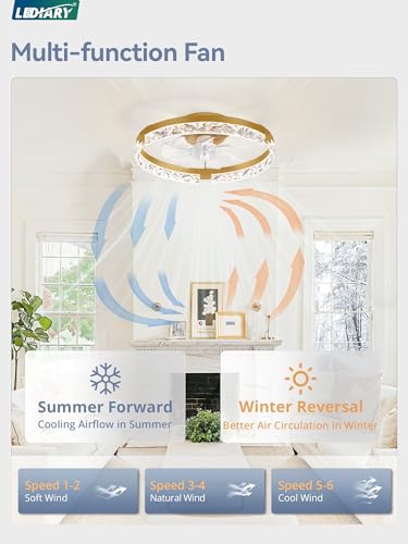 Image of LEDIARY 20 inch Low Profile Ceiling Fans with Lights, APP & Remote, Gold