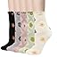 5 Pack-pastel Argyle Floral