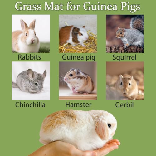 Image of 4 Pcs Natural Rabbit Grass Mats Chewable Bedding 11''x8.3''