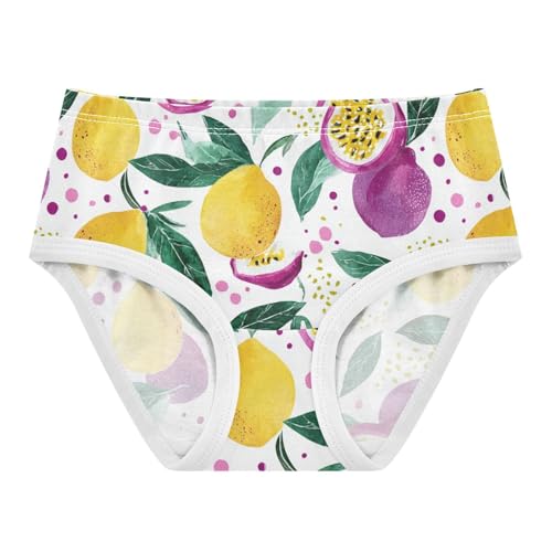 Wusikd Passion Fruits Girls' Underwear Cotton Watercolor Girls Briefs Soft Toddler Underwear 2T