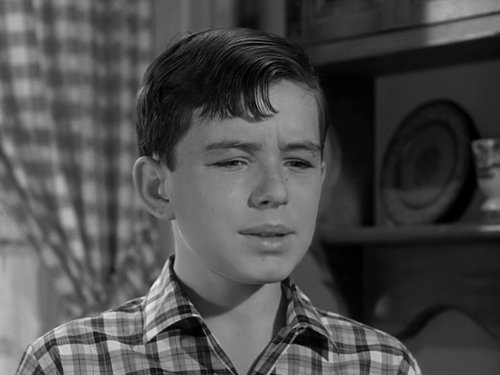 Leave it to Beaver, Season Five: Beaver's Ice Skates