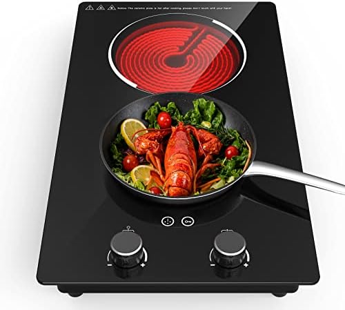 QTYANCY Electric Cooktop, 110V 2 Burner Electric Stove 9 Power Level, Kids Lock, Overheat Protection, 12 Inch Built-in Hot Plate for Cooking