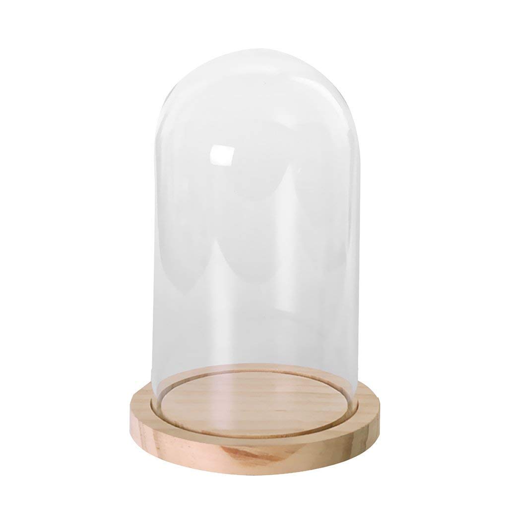 Tubayia Jarrón de cristal con tapa y base de madera, para decoración o regalo