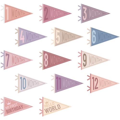 Image of VitalCozy 14 Pcs Baby Milestone Pennant Signs Monthly Milestone Banner Flags Pennant Triangle Banner Age Flag Signs for Boy Girl Newborn Birthday Party Decor(Pastel Color)