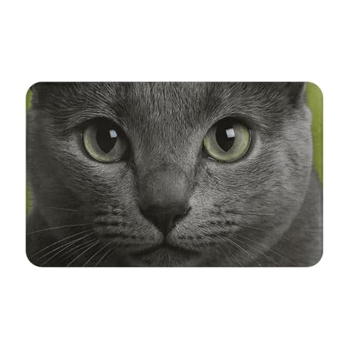 �� �l�R ���V�A���u���[ ���� �L�� �A�j�������`���փ��O�}�b�g ����~�ߕt�ϋv���J�[�y�b�g 80cm X 50cm