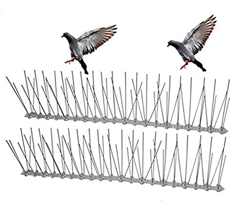 KTSM-Stop-T Expulsor de Aves Suministros 1-10m plástico Pájaro Y Pigeon Spikes Anti Anti Bird Pigeon Pico Aves El Control de plagas de jardín Repelente Apto para Granja (Color : 10M)