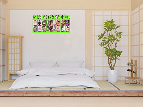 Image of Photo Frames| Customised Frames For Gifts| Home Decor| Frame for Wall| Green Color, Pack Of 1