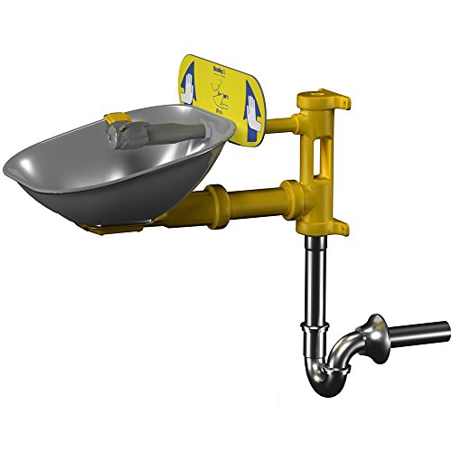 Bradley S19274E, Swing-Activated Halo Eye/Face Wash - Universal Mount