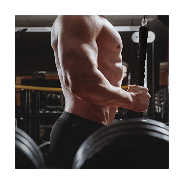 Pull Down Rope Single Grip Tricep Bicep Exercise Attachment for Cable Machines Gym Pulley Workout - Image 2