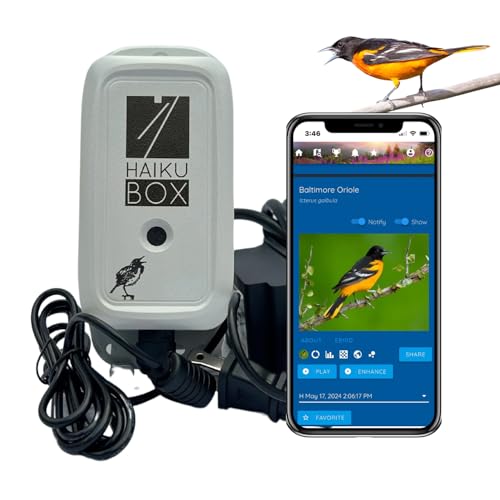 Haikubox Birdsong Identifier: Better than a camera, 24/7 backyard bird sound ID. Hawks, owls...