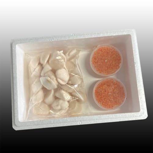 [北海道根室市] いくら醤油漬け100g×2P、ほたて貝柱500g×1P ふるさと納税 ホタテ 帆立 ほたて 海鮮 C-30041 [ノーブランド品]