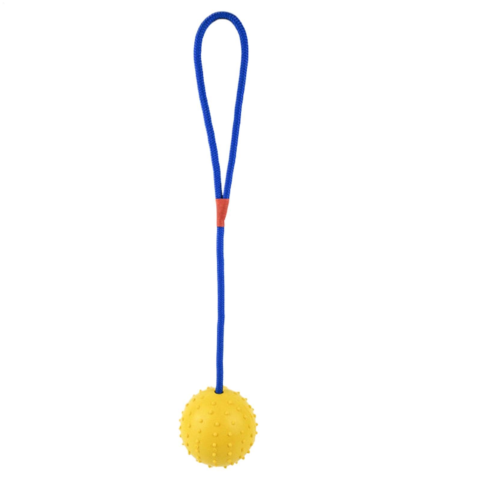 Pet Toy Ball,Bite Resistant Pet Ball Interactive Dog Ball with Rope | Training Ball Launchers Squeaky Tug Chew Toy for Breed & Small Dogs