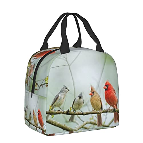 Prelerdiy Lively Birds Lunch Box - Insulated Lunch Bags For Kids Boys Girls Reusable Lunch Tote Bags, Perfect For School/Camping/Hiking/Picnic/Beach/Travel #TOP4