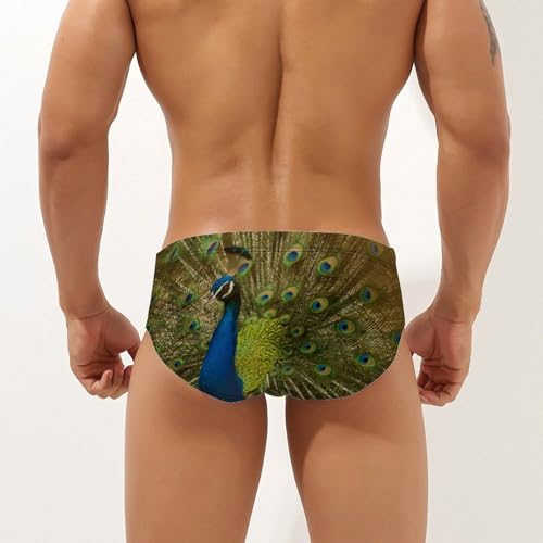 Peacock Show Mens Swim Briefs Bikini Sexy Low Rise Trunks Swimsuit Bathing Suit Beach2