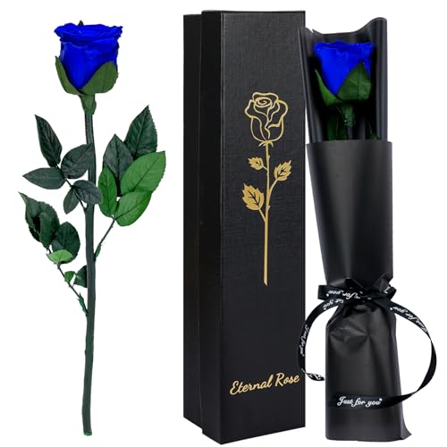 CSYY Rosa eterna, rosa eterna azul com haste flores preservadas presente dia dos namorados dia da mãe flores preservadas presente mãe Natal