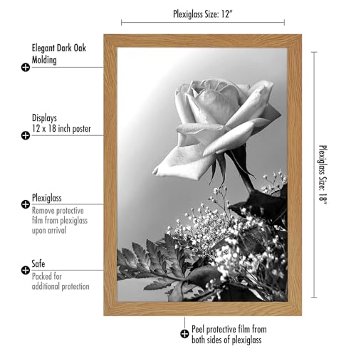 Americanflat 12x18 Poster Frame with Polished Plexiglass - Wide Picture Frames Made of Engineered Wood for Vertical or Horizontal Wall Display - Epic Collection - Dark Oak