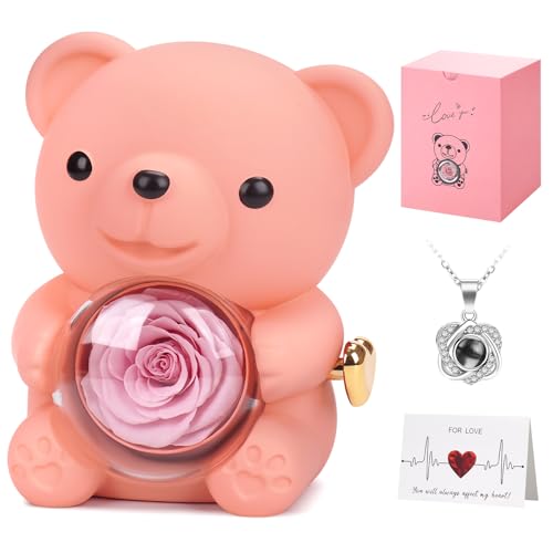 WOKEISE Teddy Bear with Preserved Real Rose and Necklace, Birthday Anniversary Romantic Gifts for Women, Girlfriend, Wife, Valentines Day Gift, Forever Eternal Rose Flower Decor - Pink