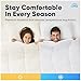 Equinox International Comforter - Queen Size, White, Microfiber, Down Alternative, Reversible, Box Stitched