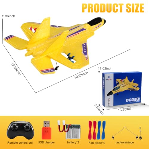 Image of Fremego F22 2.4GHz RC Jet, Gyro Airplane with 2 Batteries for Beginners