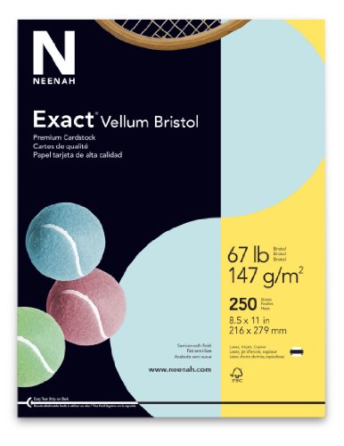 Neenah Exact Vellum Bristol Cardstock, 8.5