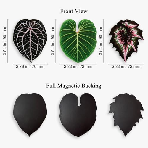 Set de 3 Imanes Decorativos en Forma de Hoja miniatura 5