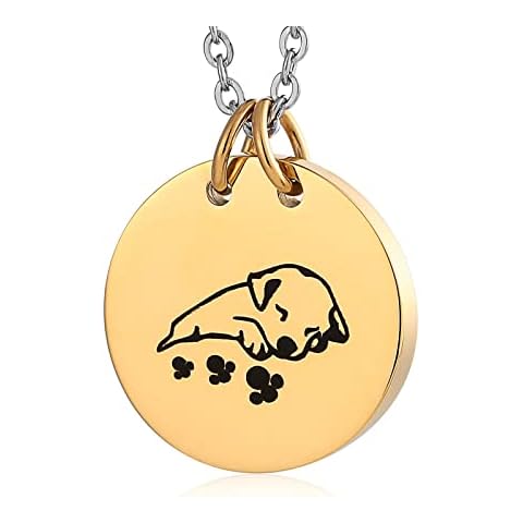 Beydodo Pet Urn Necklace for Dogs Ashes for Men, Cremation Jewellery for Ashes Stainless Steel Round Pendant with Dog and Paw Print Cover