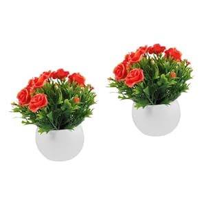 Happyyami 2 Stuks Goblincore Kamerinrichting Bonsai Voor Binnen Esthetische Kamerinrichting Tafelblad Decor Interieurdecoratie Huisdecoratie Bureaubladdecoratie Pvc Plant Bloempot