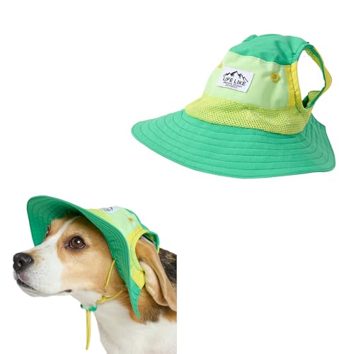 【LIFELIKE公式】ビタミンカラーハットS M L 被り物 犬 かぶりもの 帽子 ハット ツバ 中型犬 小型犬 パピー 春夏 春 夏 カラフル ビタミンカラー 日よけ 白内障予防 ペットグッズ ペット グッズ ライフライク (アップルグリーン, M)