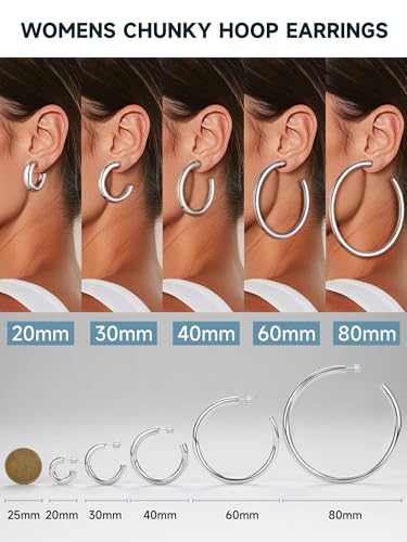 Image of Stainless Steel Chunky Hoop Earrings For Women, Minimalist and Chic, Black /Gold Plated, Round Hoops Earrings Hypoallergenic, Size: 30mm /40mm /60mm /80mm, Come with Box
