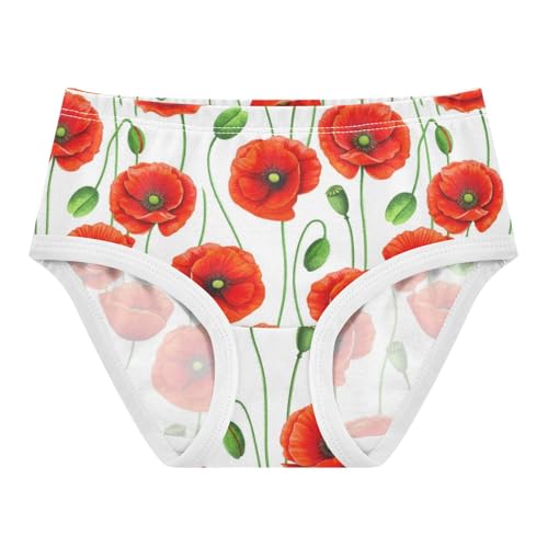 Joisal Toddler Underwear Floral 2t Cotton Panties for Girl Durable Kids Briefs Undies Bright Red Flowers White