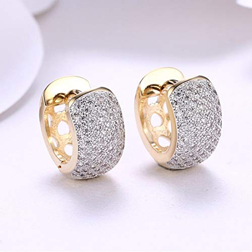 Zircon Plated Drop Earrings (CT-ERG-45109)