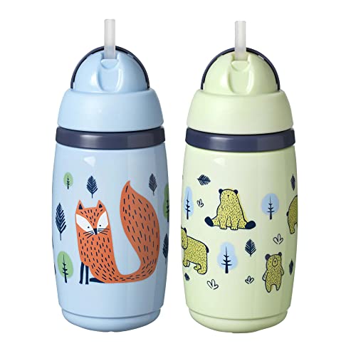 Find The Best Insulated Straw Sippy Cup Reviews & Comparison Katynel