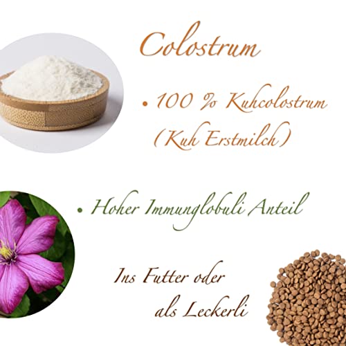 Trade Teamwork Colostrum Drops für Hunde – Leckerlis mit wertvollem Kuh-Kolostrum (200 g) - Natürliche Unterstützung für EIN glückliches Hundeleben